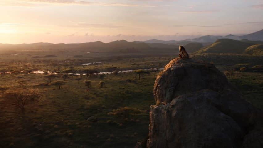 Image 3 de The Lion King