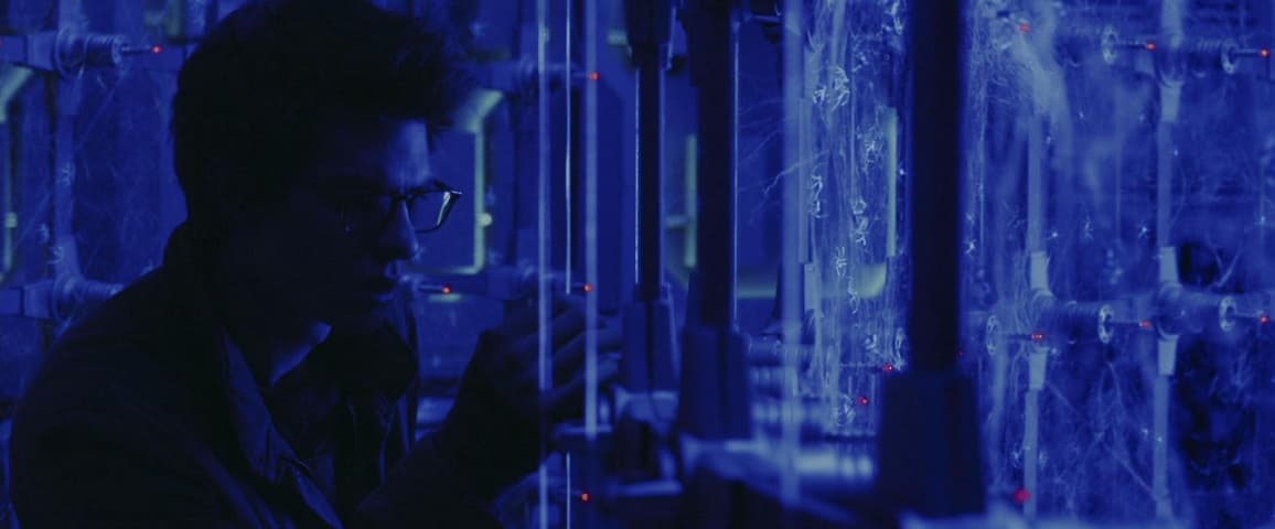 The Amazing Spider-Man frame 3