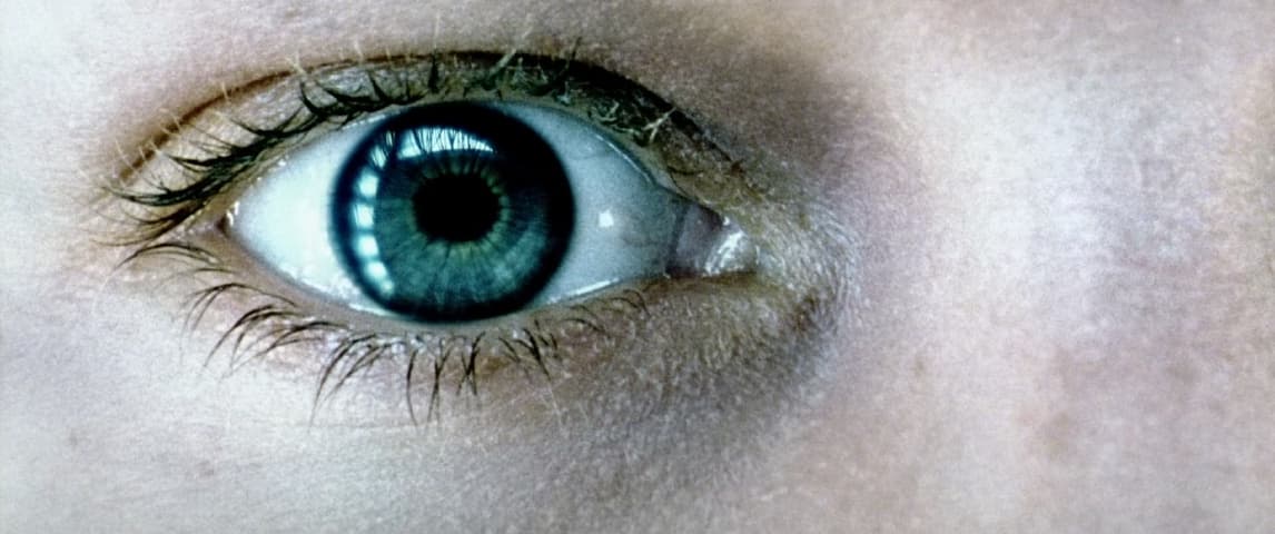 Image 4 de Minority Report