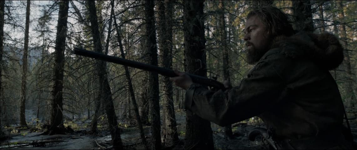 Image 1 de The Revenant