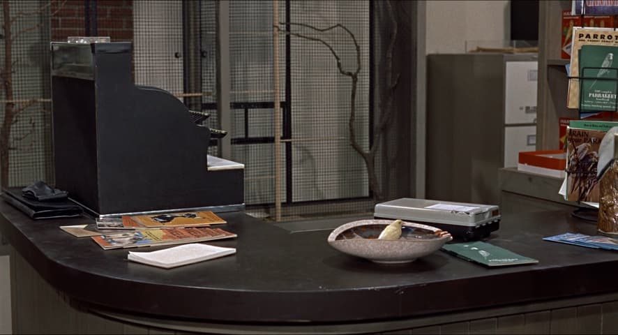 Image 4 de The Birds