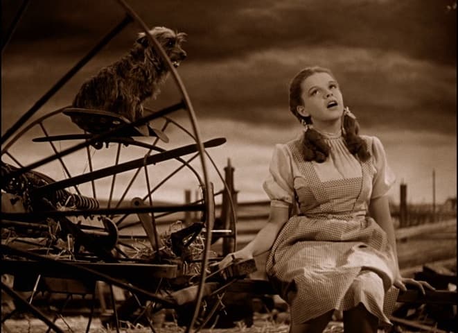 The Wizard of Oz frame 4