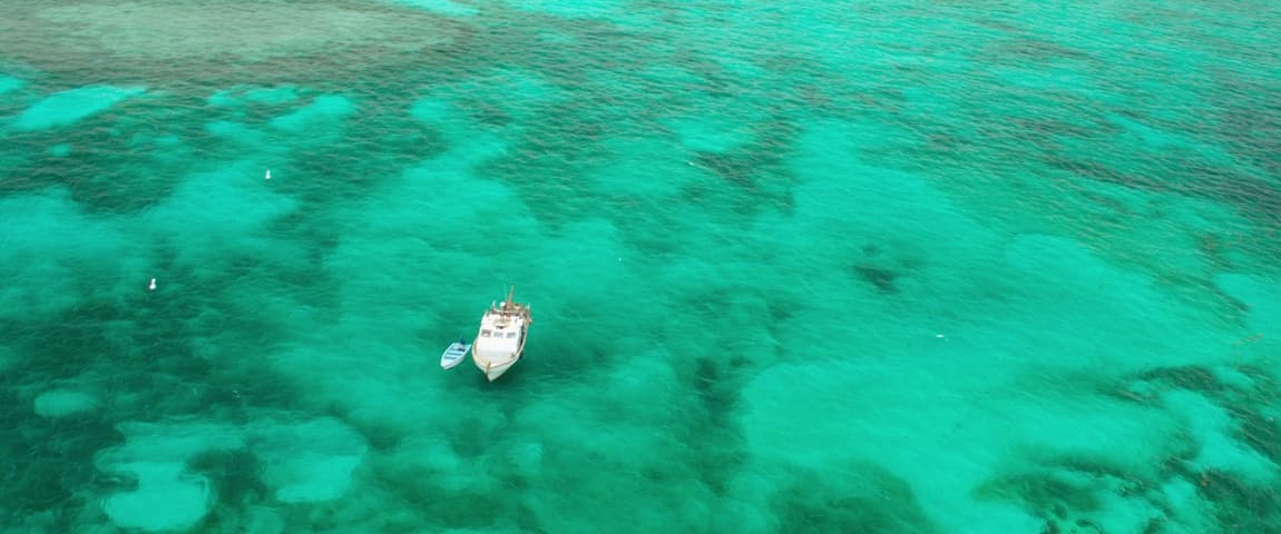 Image 2 de 47 Meters Down