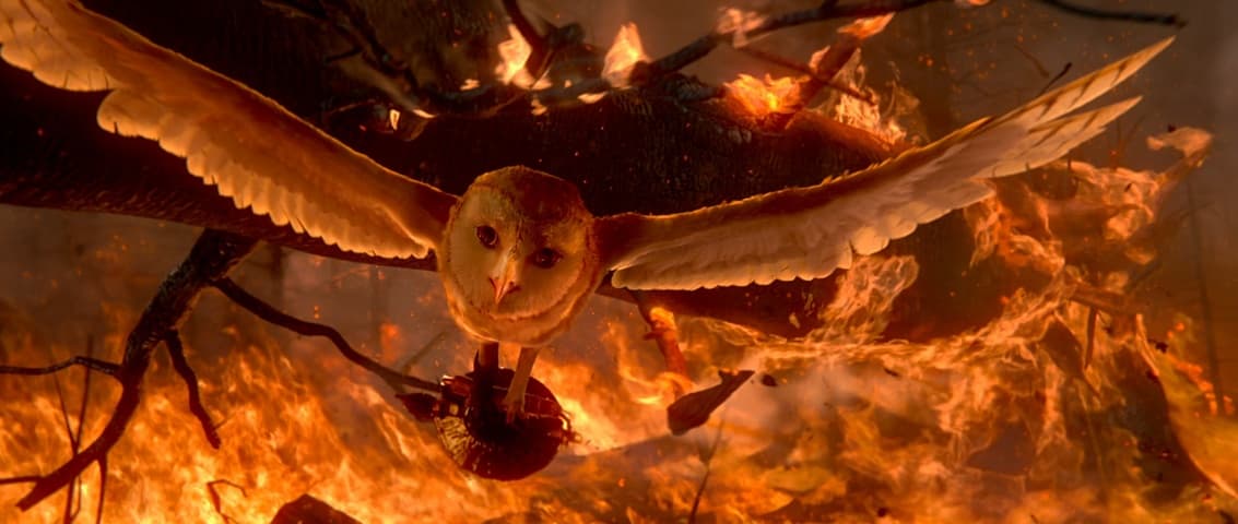 Legend of the Guardians: The Owls of Ga'Hoole frame 1