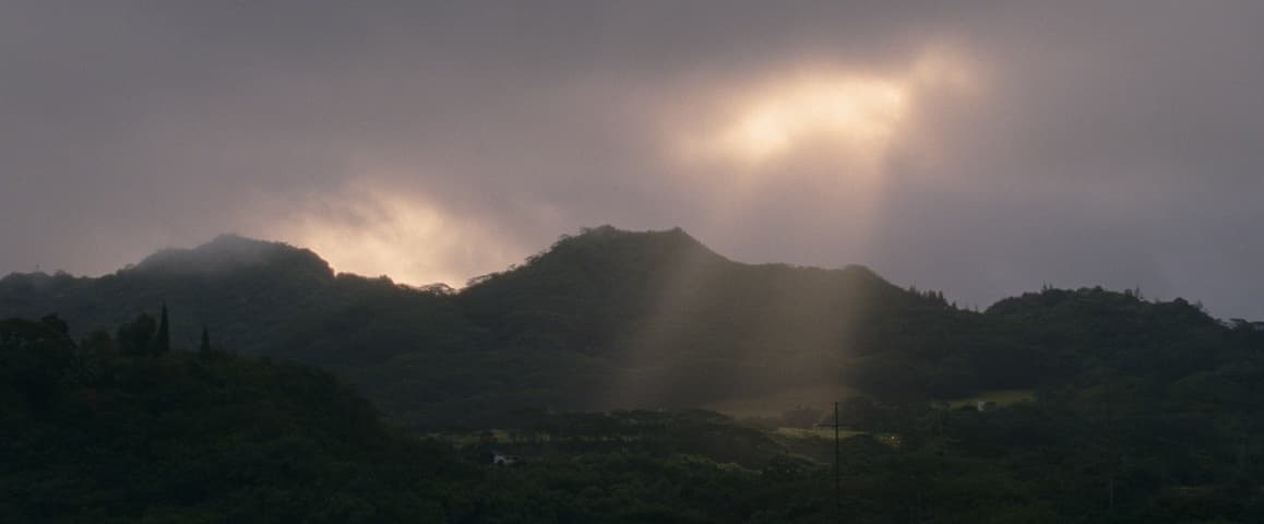 Image 3 de The Descendants