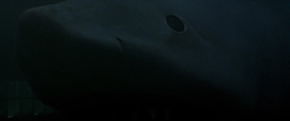 Image 1 de Jaws 3-D