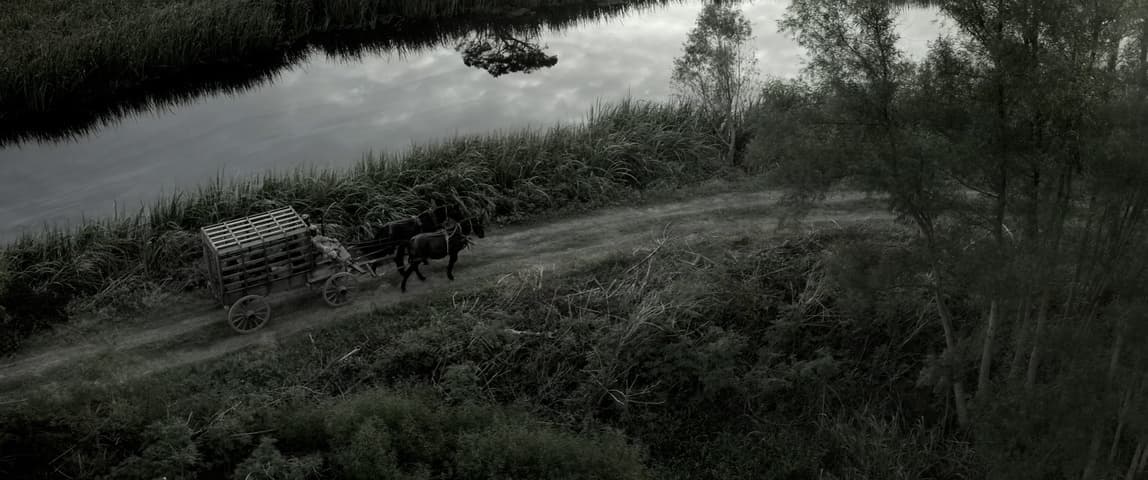 Emancipation, кадр 1