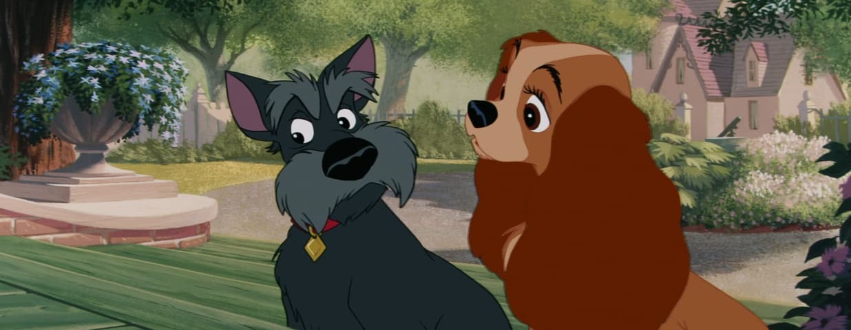 Lady and the Tramp frame 4